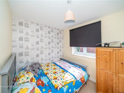 Picture 16